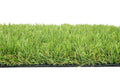 Budget artificial grass
