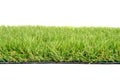Natural artificial grass